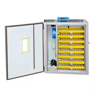 Інкубатори Інкубатори